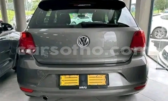اشتري مستعمل Volkswagen Polo Silver سيارة في Maseru في Maseru اشتري مستعمل Volkswagen Polo Silver سيارة في Maseru في Maseru