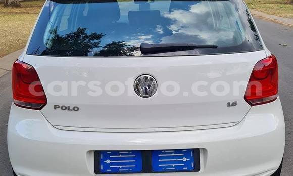 Buy Used Volkswagen Polo White Car in Maseru in Maseru Buy Used Volkswagen Polo White Car in Maseru in Maseru