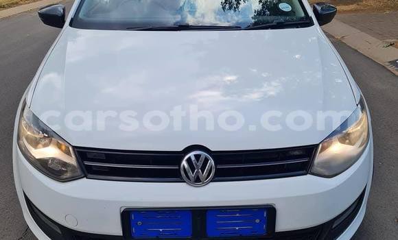 Buy Used Volkswagen Polo White Car in Maseru in Maseru Buy Used Volkswagen Polo White Car in Maseru in Maseru