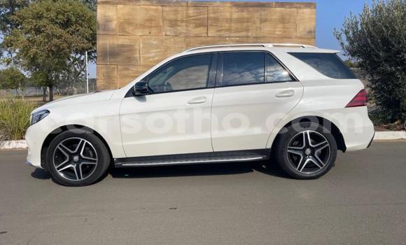 اشتري مستعمل Mercedes-Benz GLE White سيارة في Maseru في Maseru اشتري مستعمل Mercedes-Benz GLE White سيارة في Maseru في Maseru