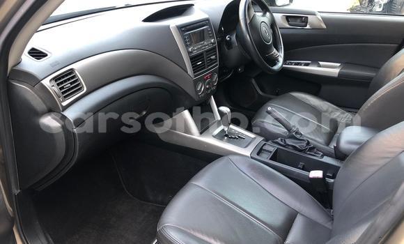 Sayi Na hannu Subaru Forester Other Mota in Maseru a Maseru Sayi Na hannu Subaru Forester Other Mota in Maseru a Maseru