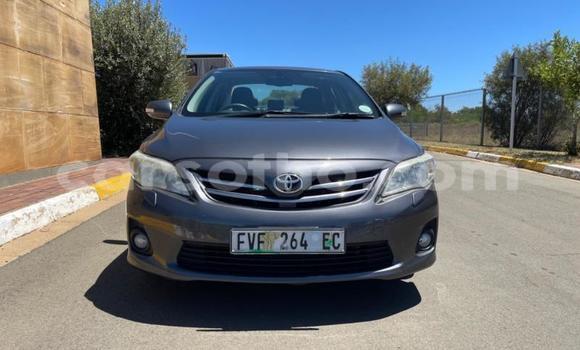 اشتري مستعمل Toyota Corolla Black سيارة في Maseru في Maseru اشتري مستعمل Toyota Corolla Black سيارة في Maseru في Maseru