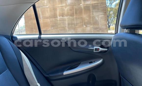 اشتري مستعمل Toyota Corolla Black سيارة في Maseru في Maseru اشتري مستعمل Toyota Corolla Black سيارة في Maseru في Maseru