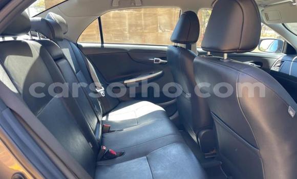 اشتري مستعمل Toyota Corolla Black سيارة في Maseru في Maseru اشتري مستعمل Toyota Corolla Black سيارة في Maseru في Maseru