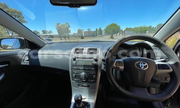 اشتري مستعمل Toyota Corolla Black سيارة في Maseru في Maseru اشتري مستعمل Toyota Corolla Black سيارة في Maseru في Maseru