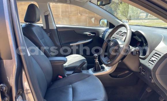 اشتري مستعمل Toyota Corolla Black سيارة في Maseru في Maseru اشتري مستعمل Toyota Corolla Black سيارة في Maseru في Maseru