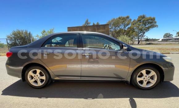 اشتري مستعمل Toyota Corolla Black سيارة في Maseru في Maseru اشتري مستعمل Toyota Corolla Black سيارة في Maseru في Maseru