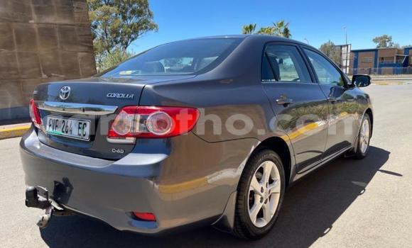 اشتري مستعمل Toyota Corolla Black سيارة في Maseru في Maseru اشتري مستعمل Toyota Corolla Black سيارة في Maseru في Maseru