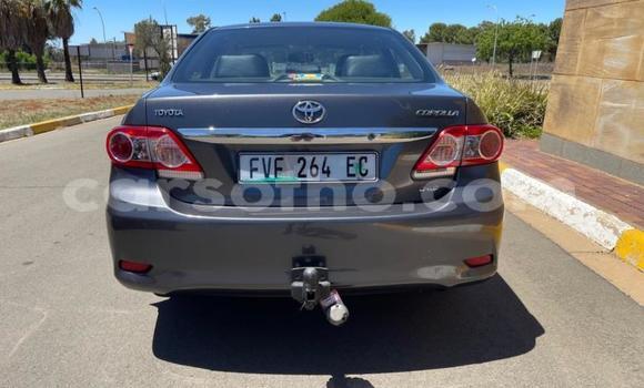 اشتري مستعمل Toyota Corolla Black سيارة في Maseru في Maseru اشتري مستعمل Toyota Corolla Black سيارة في Maseru في Maseru