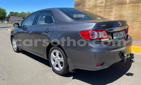اشتري مستعمل Toyota Corolla Black سيارة في Maseru في Maseru اشتري مستعمل Toyota Corolla Black سيارة في Maseru في Maseru