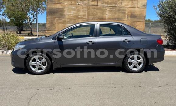 اشتري مستعمل Toyota Corolla Black سيارة في Maseru في Maseru اشتري مستعمل Toyota Corolla Black سيارة في Maseru في Maseru