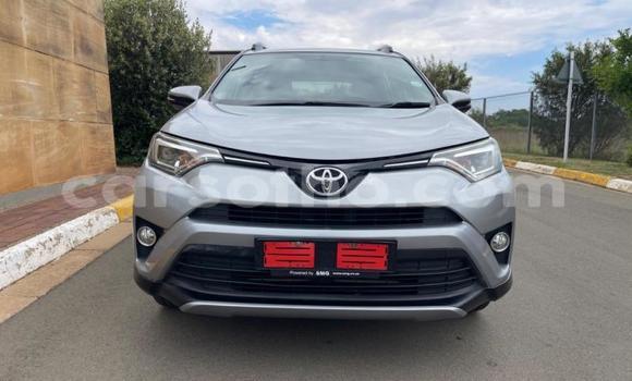 Buy Used Toyota RAV4 Silver Car in Maseru in Maseru Buy Used Toyota RAV4 Silver Car in Maseru in Maseru