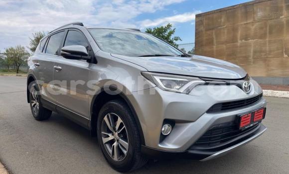 Buy Used Toyota RAV4 Silver Car in Maseru in Maseru Buy Used Toyota RAV4 Silver Car in Maseru in Maseru