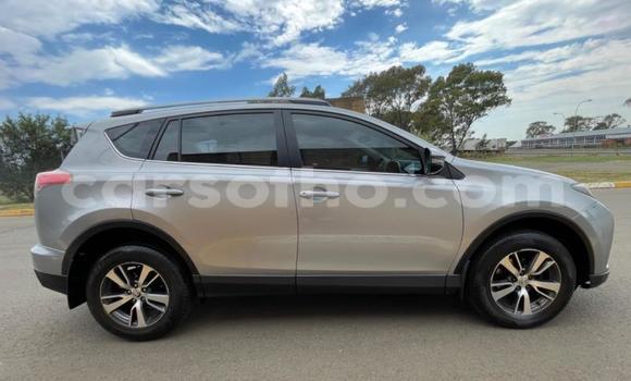 Buy Used Toyota RAV4 Silver Car in Maseru in Maseru Buy Used Toyota RAV4 Silver Car in Maseru in Maseru