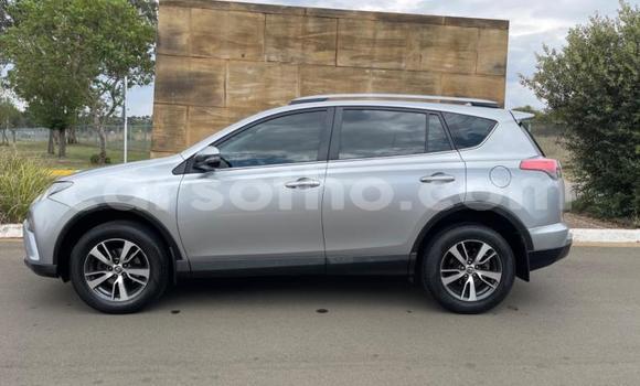 Buy Used Toyota RAV4 Silver Car in Maseru in Maseru Buy Used Toyota RAV4 Silver Car in Maseru in Maseru