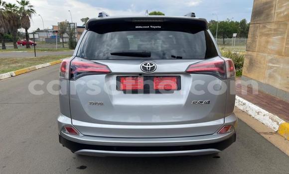 Buy Used Toyota RAV4 Silver Car in Maseru in Maseru Buy Used Toyota RAV4 Silver Car in Maseru in Maseru