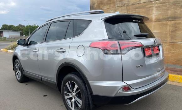 Buy Used Toyota RAV4 Silver Car in Maseru in Maseru Buy Used Toyota RAV4 Silver Car in Maseru in Maseru