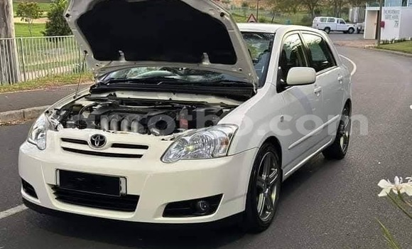 Buy Used Toyota Runx White Car in Maseru in Maseru Buy Used Toyota Runx White Car in Maseru in Maseru
