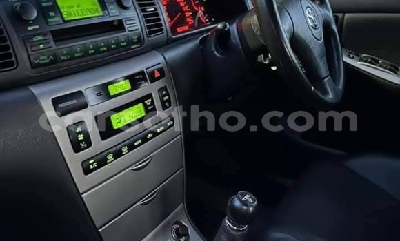 Buy Used Toyota Runx White Car in Maseru in Maseru Buy Used Toyota Runx White Car in Maseru in Maseru