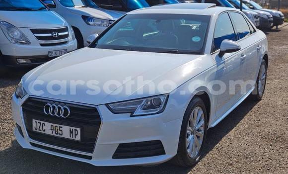 اشتري مستعمل Audi A4 White سيارة في Maseru في Maseru
