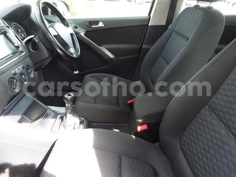 Big with watermark 2009 volkswagen tiguan escape 2