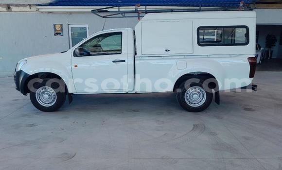 اشتري مستعمل Isuzu KB White سيارة في Maseru في Maseru اشتري مستعمل Isuzu KB White سيارة في Maseru في Maseru