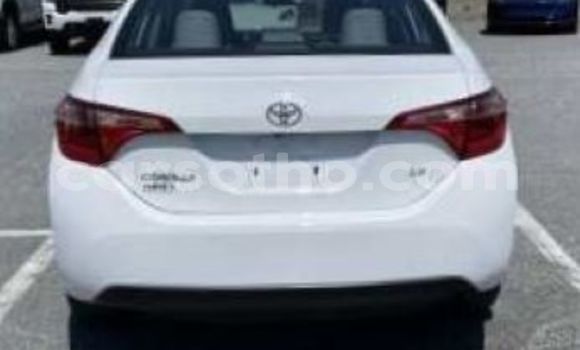 Acheter Occasion Voiture Toyota Corolla Blanc à Maputsoe, Leribe