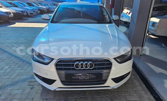 Buy Used Audi A4 White Car in Maseru in Maseru Buy Used Audi A4 White Car in Maseru in Maseru