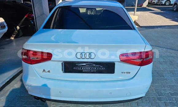 Buy Used Audi A4 White Car in Maseru in Maseru Buy Used Audi A4 White Car in Maseru in Maseru