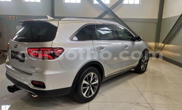 Sayi Na hannu Kia Sorento White Mota in Maseru a Maseru Sayi Na hannu Kia Sorento White Mota in Maseru a Maseru