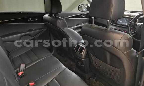 Sayi Na hannu Kia Sorento White Mota in Maseru a Maseru Sayi Na hannu Kia Sorento White Mota in Maseru a Maseru