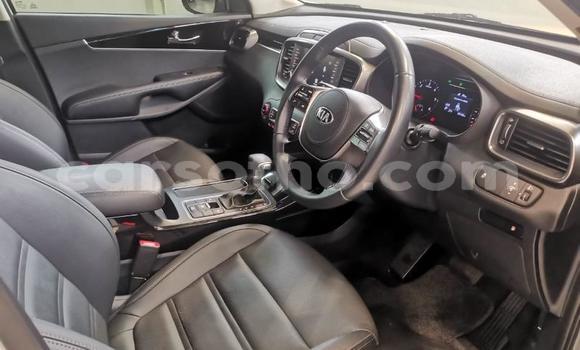 Sayi Na hannu Kia Sorento White Mota in Maseru a Maseru Sayi Na hannu Kia Sorento White Mota in Maseru a Maseru