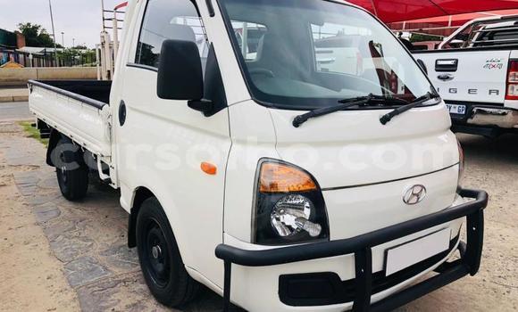 اشتري مستعمل Hyundai H1 White سيارة في Maseru في Maseru اشتري مستعمل Hyundai H1 White سيارة في Maseru في Maseru