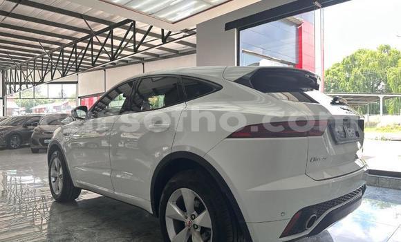 Acheter Occasion Voiture Jaguar E-Pace Blanc à Maseru, Maseru Acheter Occasion Voiture Jaguar E-Pace Blanc à Maseru, Maseru
