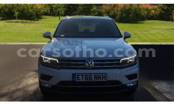 Buy Used Volkswagen Tiguan White Car in Thaba–Tseka in Mafeteng Buy Used Volkswagen Tiguan White Car in Thaba–Tseka in Mafeteng