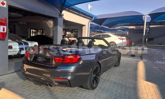 اشتري مستعمل BMW M4 Other سيارة في Maseru في Maseru اشتري مستعمل BMW M4 Other سيارة في Maseru في Maseru