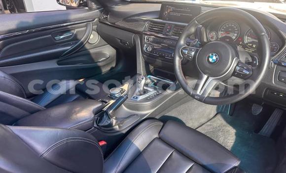اشتري مستعمل BMW M4 Other سيارة في Maseru في Maseru اشتري مستعمل BMW M4 Other سيارة في Maseru في Maseru