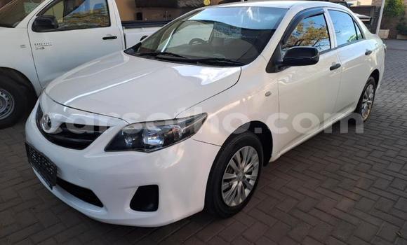 اشتري مستعمل Toyota Corolla White سيارة في Maseru في Maseru اشتري مستعمل Toyota Corolla White سيارة في Maseru في Maseru