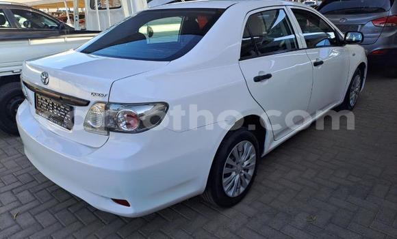 Sayi Na hannu Toyota Corolla White Mota in Maseru a Maseru Sayi Na hannu Toyota Corolla White Mota in Maseru a Maseru