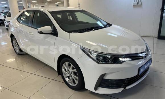 Acheter Occasion Voiture Toyota Corolla Blanc à Maseru, Maseru