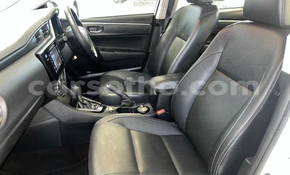 Sayi Na hannu Toyota Corolla White Mota in Maseru a Maseru Sayi Na hannu Toyota Corolla White Mota in Maseru a Maseru