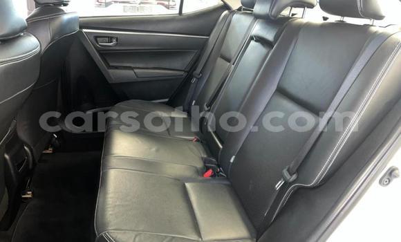 Sayi Na hannu Toyota Corolla White Mota in Maseru a Maseru Sayi Na hannu Toyota Corolla White Mota in Maseru a Maseru