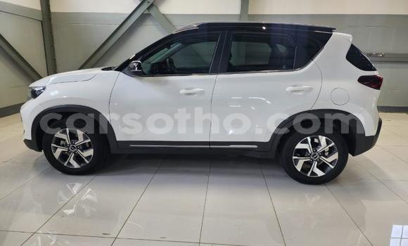 Buy Used Kia Sorento White Car in Maputsoa in Leribe Buy Used Kia Sorento White Car in Maputsoa in Leribe