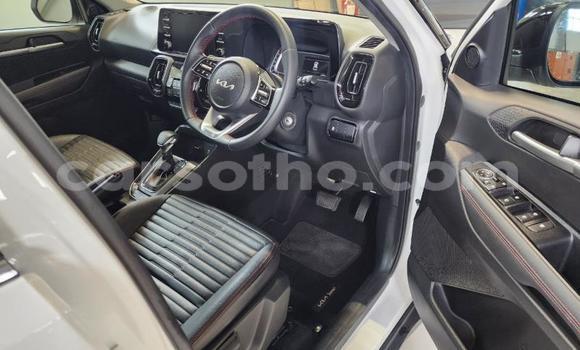 Buy Used Kia Sorento White Car in Maputsoa in Leribe Buy Used Kia Sorento White Car in Maputsoa in Leribe