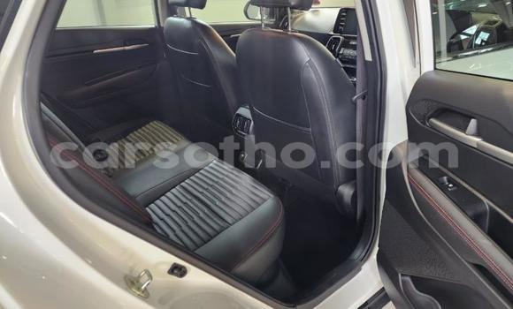 Buy Used Kia Sorento White Car in Maputsoa in Leribe Buy Used Kia Sorento White Car in Maputsoa in Leribe