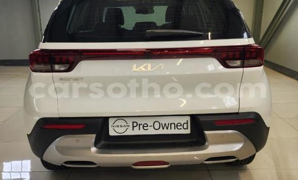 Buy Used Kia Sorento White Car in Maputsoa in Leribe Buy Used Kia Sorento White Car in Maputsoa in Leribe
