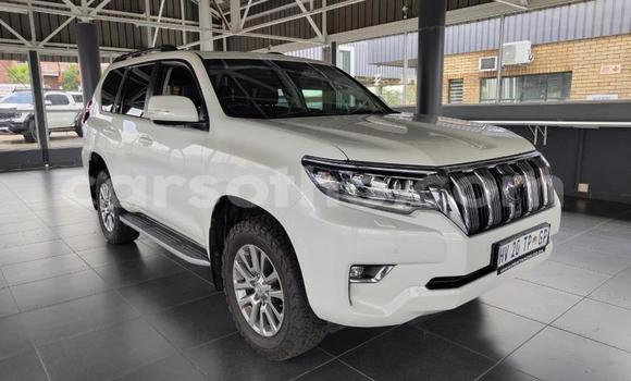 Sayi Na hannu Toyota Land Cruiser Prado White Mota in Maseru a Maseru Sayi Na hannu Toyota Land Cruiser Prado White Mota in Maseru a Maseru