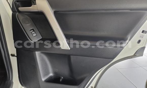 Sayi Na hannu Toyota Land Cruiser Prado White Mota in Maseru a Maseru Sayi Na hannu Toyota Land Cruiser Prado White Mota in Maseru a Maseru