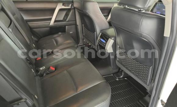 Sayi Na hannu Toyota Land Cruiser Prado White Mota in Maseru a Maseru Sayi Na hannu Toyota Land Cruiser Prado White Mota in Maseru a Maseru