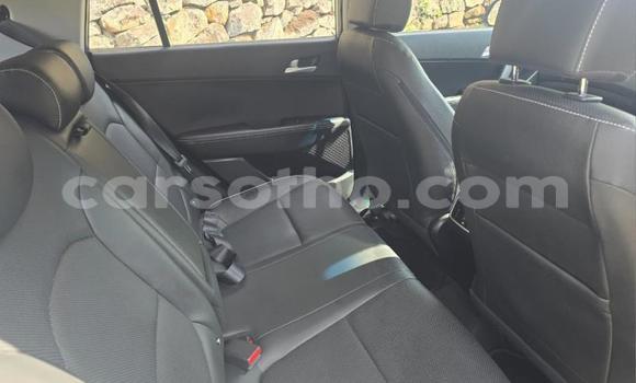 اشتري مستعمل Hyundai Creta Silver سيارة في Maseru في Maseru اشتري مستعمل Hyundai Creta Silver سيارة في Maseru في Maseru